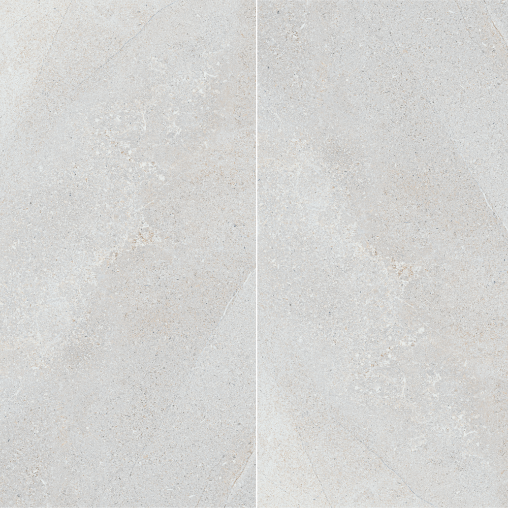Gạch lát nền 45x90 E-NGC I01