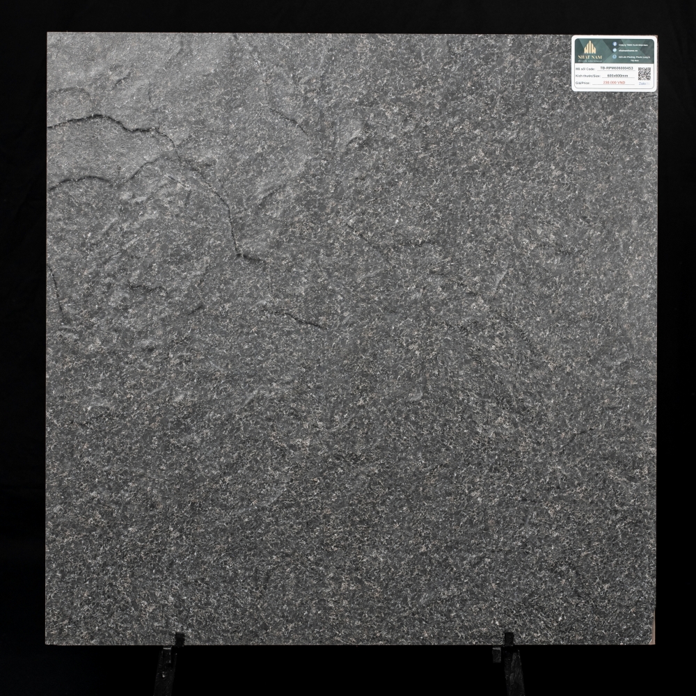 Gạch lát sân 60x60 TĐ-RPM6060004S3