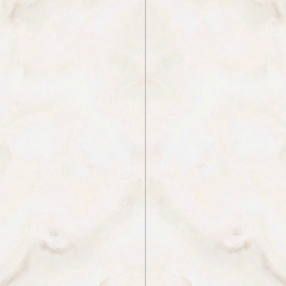 Gạch ốp lát 60x120 TN-6110