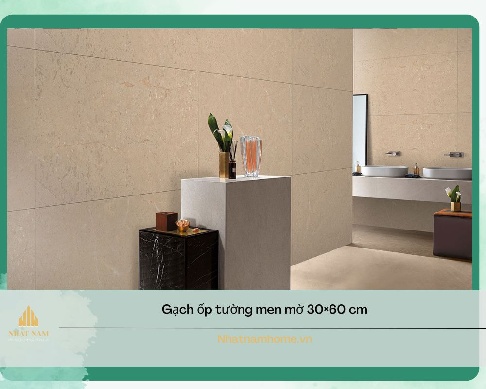 Gạch ốp tường 30x60